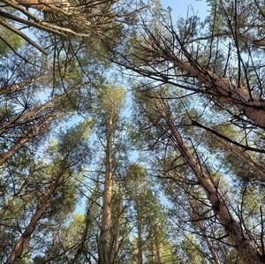 Meet your Posher, Ricky